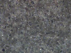 Human sperm, masses swimming around, wide locked off Stock Footage