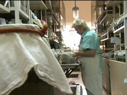 Leech farm and leech treatment News Clip