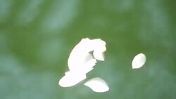 Abstract Light Wave Stock Footage