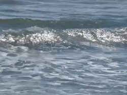 Waves and Swells at Sea Stock Footage