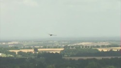 Red Kites flying above a hilltop News Clip