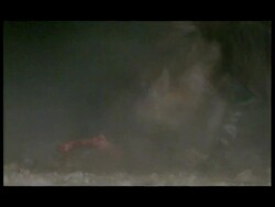 MS Brown Hyena (Hyaena brunnea) chasing cheetahs away and stealing carcass, Botswana Stock Footage