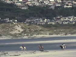 WS AERIAL TS ZO View of People riding horses on beach / Western Cape, South Africa Stock Footage