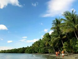 People jogging on a tropical beach, nr Cape Tribulation, Daintree National Park, Queensland, Australia Stock Footage