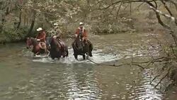 SLO MO DS Three herdsmen riding horses in the river Stock Footage
