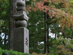 MS Monument of stone in forest / Kouya, Wakayama, Japan Stock Footage