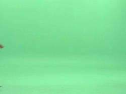 MS, Businesswoman walking in studio Stock Footage