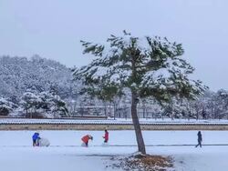 Shot of children making snowman at Jeongnimsa Temple Site Stock Footage
