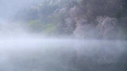 Wet fog moving over Seryangji lake(Reservoir in the Hwasun) Stock Footage