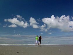 Man, woman and dog walking on beach (HD 1080) Stock Footage