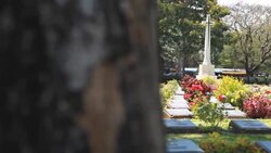 HD Dolly:Cemeteries of Christianity Stock Footage