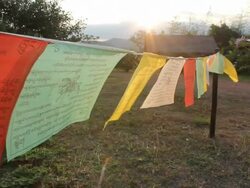 Flags colors Stock Footage