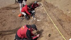 VOICED : Los fosiles de dinosaurios de la Patagonia chilena News Clip