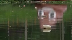 CLEAN : Activists in Brazil protest high pollution with giant poo emoji News Clip