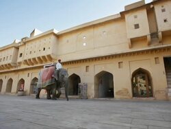 MS Elephant at Amber Fort / Jaipur, Rajasthan state, India Stock Footage