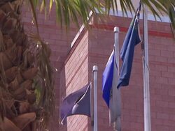 City of Las Vegas flags flutter in a slight breeze. Stock Footage