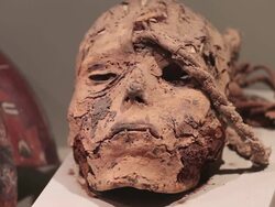 CU Shot of mummy in Antonini museum / South Of Peru, Nazca, Peru Stock Footage