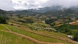 terraced rice field in Mu Chang Chai, Vietnam Stock Footage