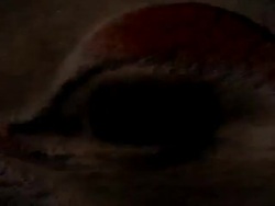 Scared eye looking everywhere creepy background Stock Footage