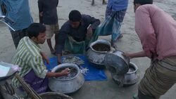 Fisherman return to the banks of the River Jamuna Bangladesh at sunset to unload sell auction and share their catch of small fish before tending to nets and returning home Stock Footage