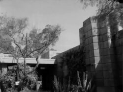 Frank Lloyd Wright Dies Stock Footage