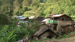 VOICED : Madagascar fights to save lemurs News Clip