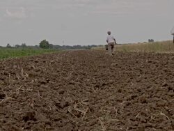 WS DS Farmers Sowing The Seeds Stock Footage
