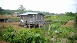 CLEAN : Colombian refugees flee News Clip