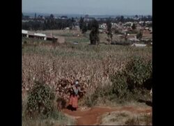 RR7702A KENYA: KENYATTA PROFILE News Clip