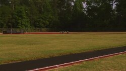 A track athlete pole-vaults in the middle of a field. Stock Footage