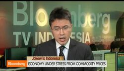 Indonesia Slowdown a 'Bitter Pill': Jokowi Adviser Ichsan News Clip