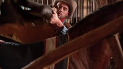 DS Cowboy putting a saddle on his horse Stock Footage