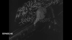 1936: NEW ENGLAND: FISHING INDUSTRY: NIGHT: VS Trawl (fish net) filled w/ coming up out of water, dumping fish on deck, possibly hold. CUTE fisherman in rain gear standing in pile of fish holding one to chest patting it. Instructional Video