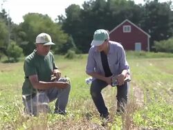 Farmer and agricultural consultant in field of GMO soybeans Stock Footage