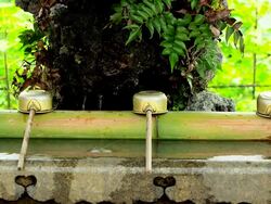 Purification trough with Bamboo Dippers Stock Footage