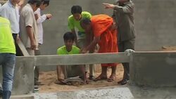 Inauguration of conservation facility for one of rarest freshwater turtles News Clip