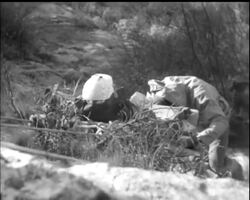 RAF GOES ""OVER THE TOP"" News Clip