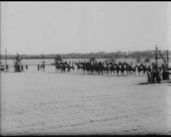 THE KING WINS CESAREWITCH News Clip