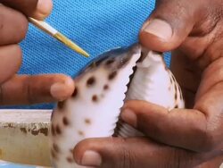 CU ZI Man decorating shell / Kanyakumari, Tamil Nadu, India Stock Footage
