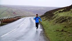 Road Runner Stock Footage
