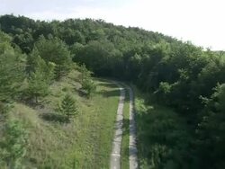 Old East German Border Stock Footage