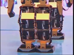 Dancing robots put on Christmas display News Clip
