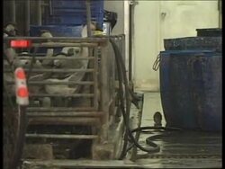 HONG KONG: MEDICS GEAR UP TO TACKLE KILLER BIRD FLU VIRUS News Clip