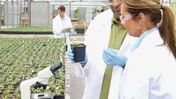 Microbiologists study plants in professional greenhouse laboratory Stock Footage