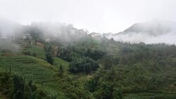 terraced rice field in Sapa, Vietnam Stock Footage