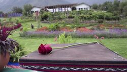 The 5 Most Shocking Revelations From the 'Bachelor Nation' Exposé | THR News News Clip