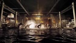 'Goltziuz and the Pelican Company' premieres at the Rome Film Festival Instructional Video