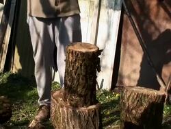 HD: Lumberjack Stock Footage