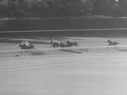 Colorado King wins American Handicap horse race Stock Footage