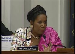 In sworn testimony Thursday, the head of the FBI, Robert Mueller contradicted his boss, Attorney General Alberto Gonzales, saying under questioning that the terrorist surveillance program, or TSP, was the topic of a hospital room dispute between Gonzales and other top Bush administration officials Instructional Video